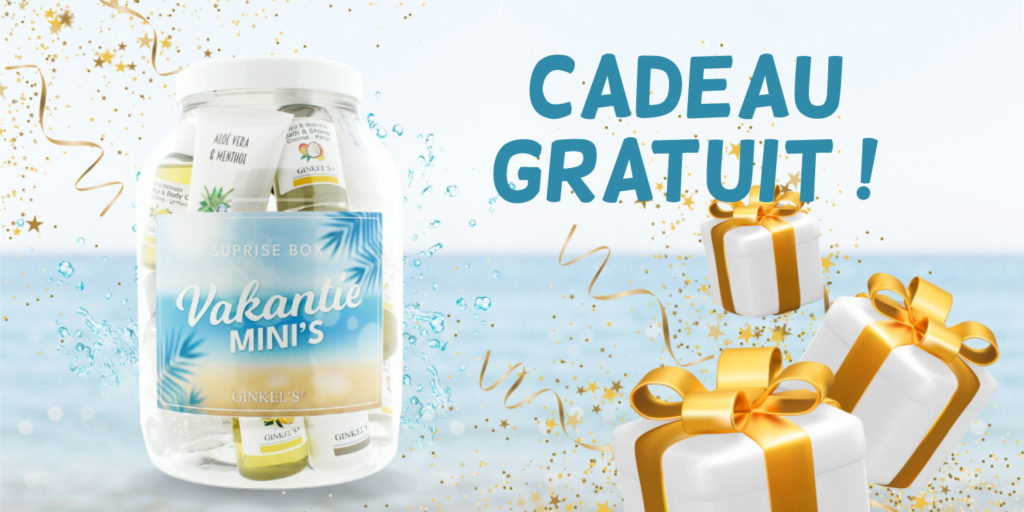 Vakantie minis FR 1024x512 - Vakantie-mini's_FR -